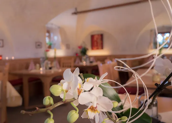 西里安奈尔维尔特宾馆 招待所 3*