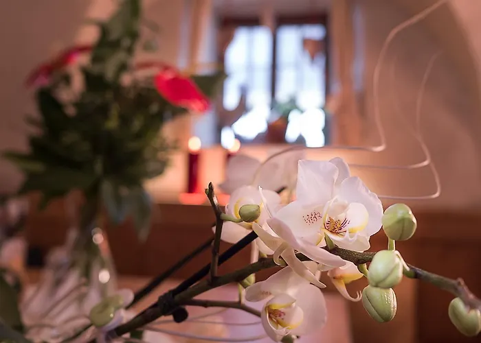 招待所 西里安奈尔维尔特宾馆 锡利安