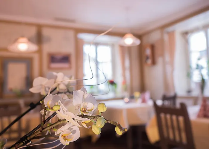 西里安奈尔维尔特宾馆 3*