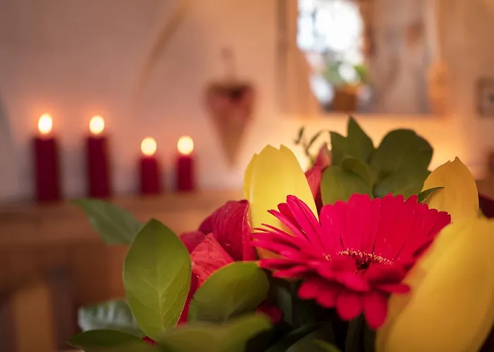 西里安奈尔维尔特宾馆 招待所