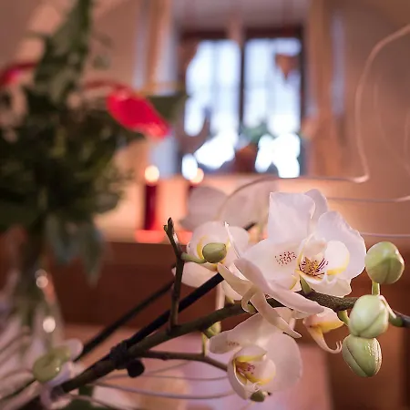 Konukevi Sillianer Wirt Sillian